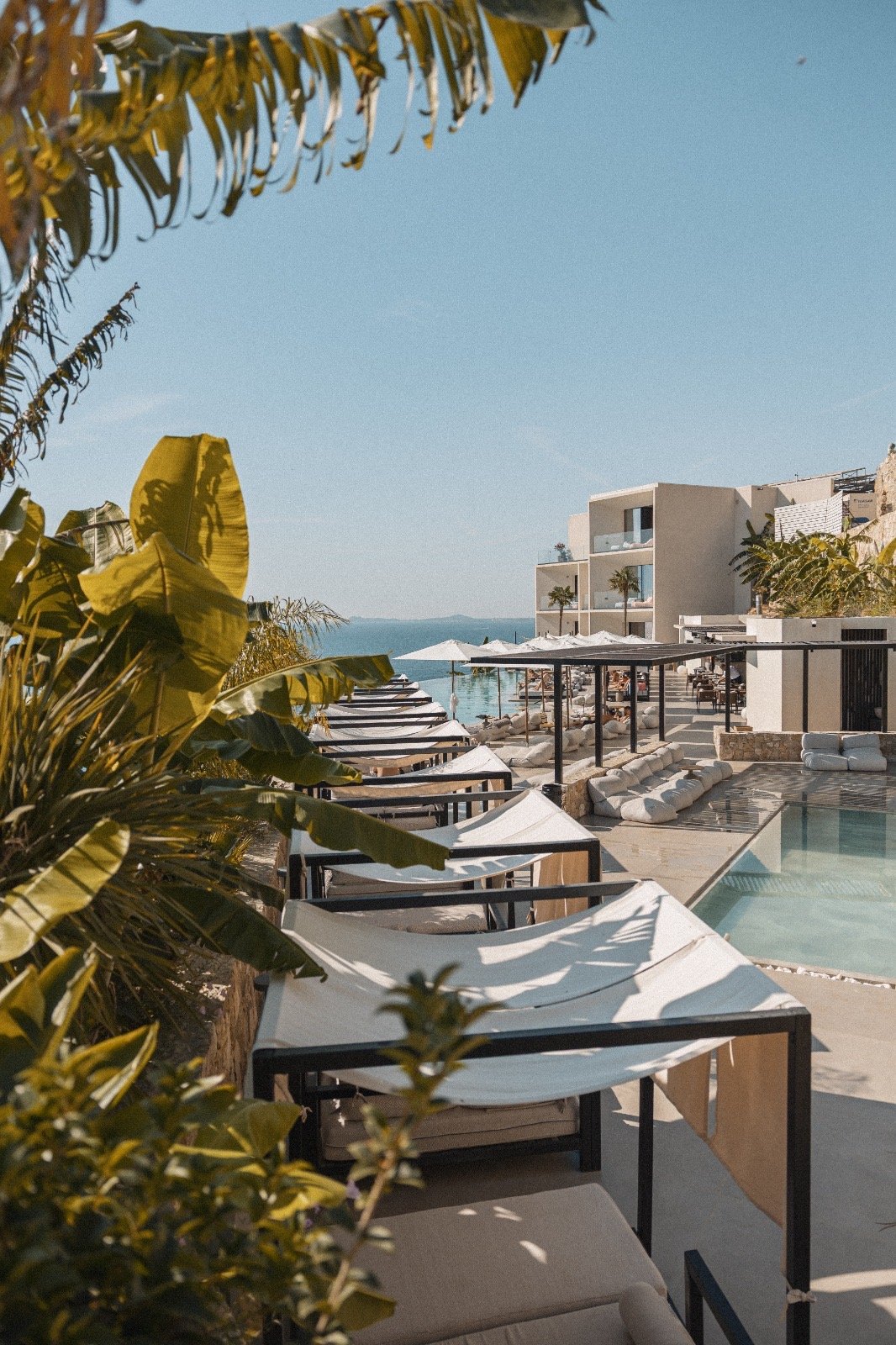 Nobus Hotel & Spa — Poolbereich zwischen Palmen